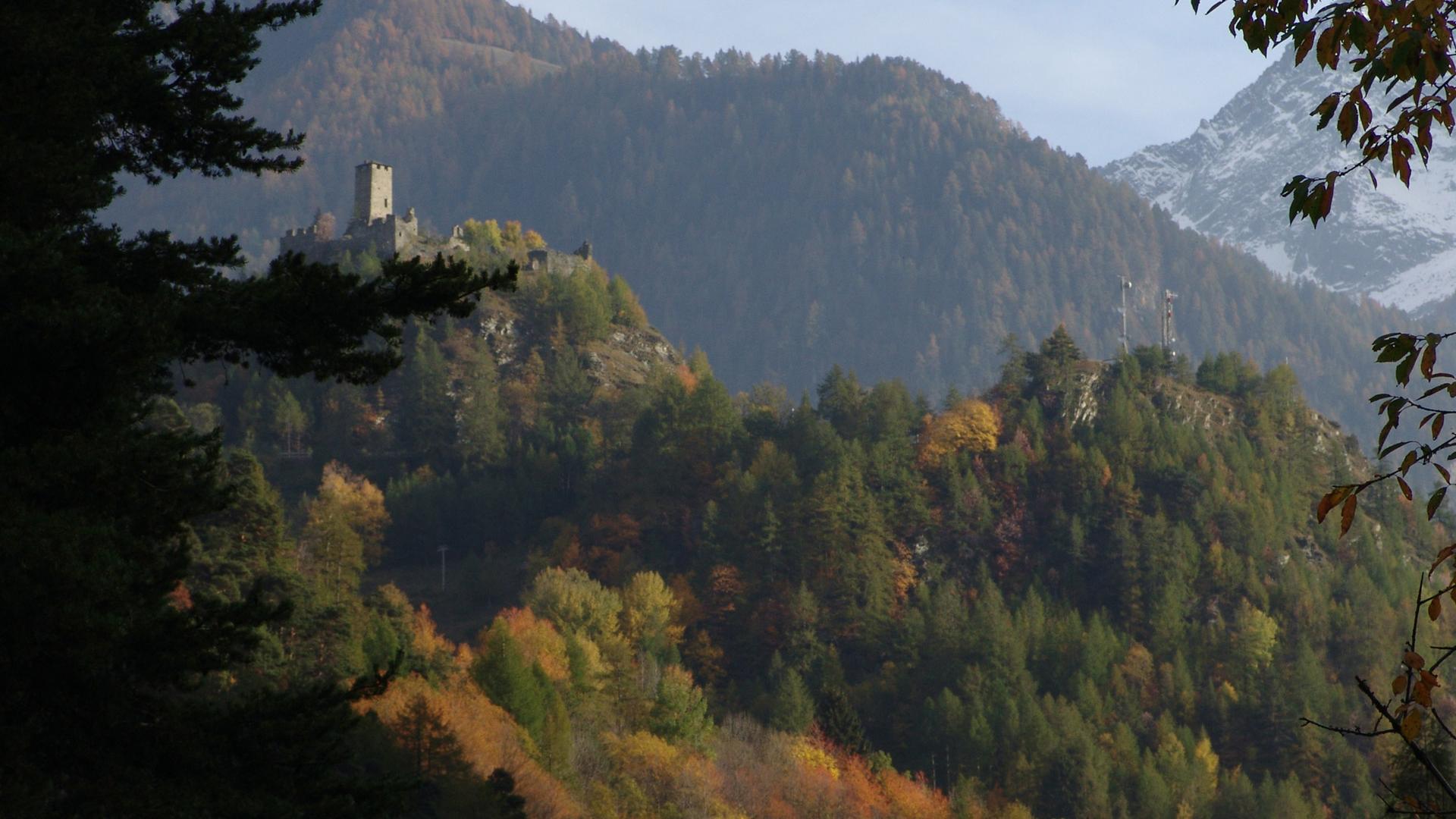hotelcastor it autunno 012